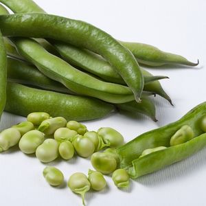 Broad Bean - Imperial Green - Longpod Seeds