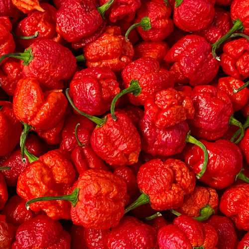 Carolina Reaper Chilli Pepper Seeds